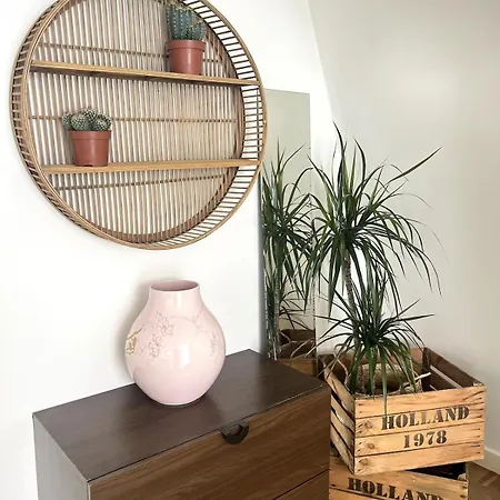 Beachfront With Rooftop Terrace Appartement La Haye